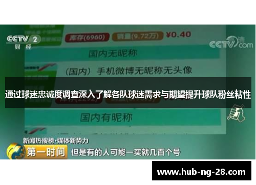 通过球迷忠诚度调查深入了解各队球迷需求与期望提升球队粉丝粘性