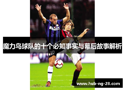 魔力鸟球队的十个必知事实与幕后故事解析 魔力鸟球队的十个必知事实与幕后故事解析