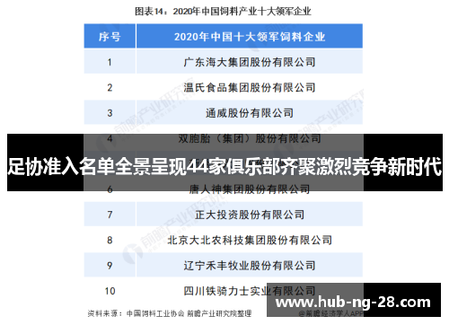 足协准入名单全景呈现44家俱乐部齐聚激烈竞争新时代