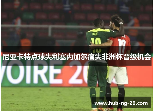 尼亚卡特点球失利塞内加尔痛失非洲杯晋级机会